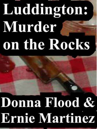 flood-martinez_luddingtoncover-jpg