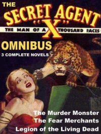 stine_secret-agent-x-blurry-jpg